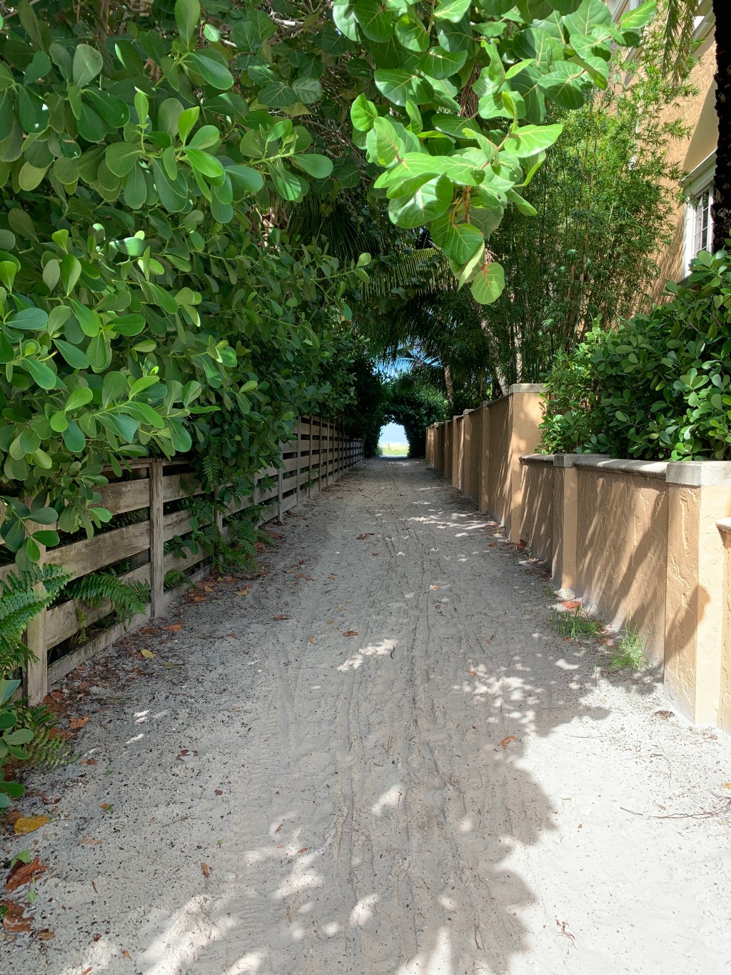 THERE’S HOPE FOR THE FUTURE, WE JUST HAVE TO FIND&nbsp;IT!